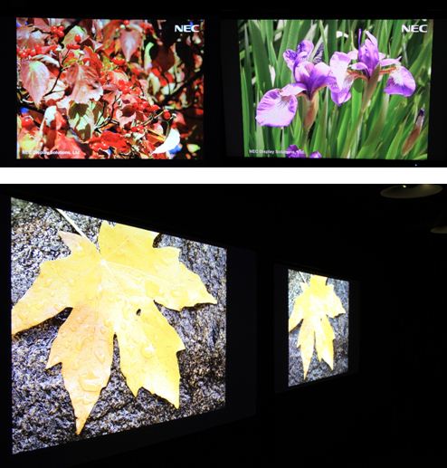 NEC M2系列投影机色彩饱满、精准