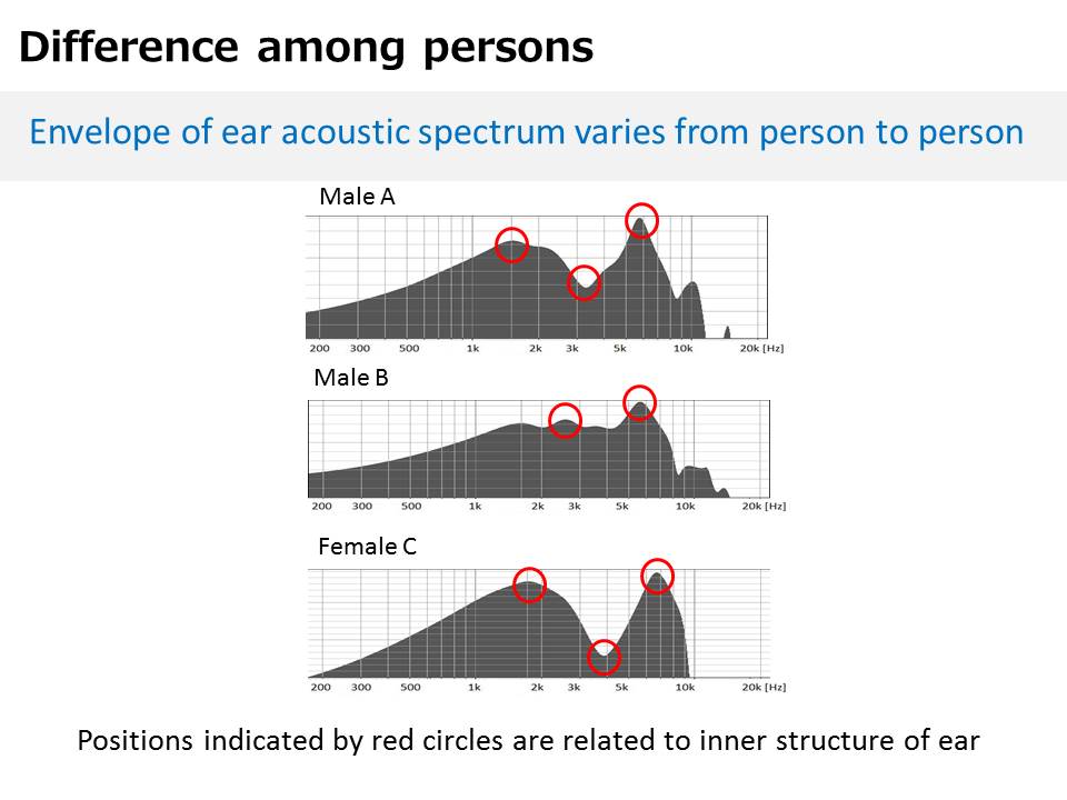 人耳独特的声学特性