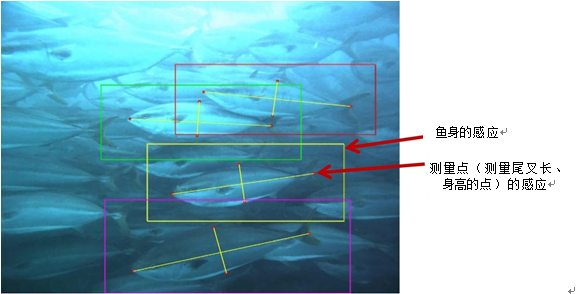 NEC全球董事长远藤信博(图中第二排右二)