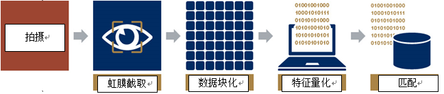 NEC全球董事长远藤信博(图中第二排右二)